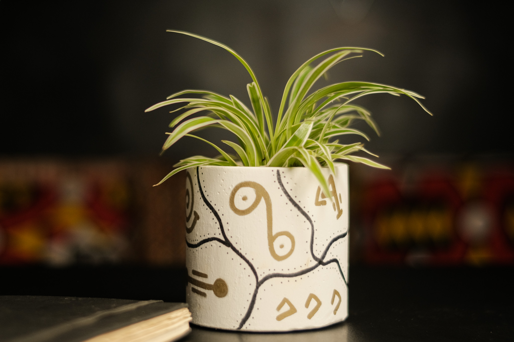 Young African woman with beautiful plants
