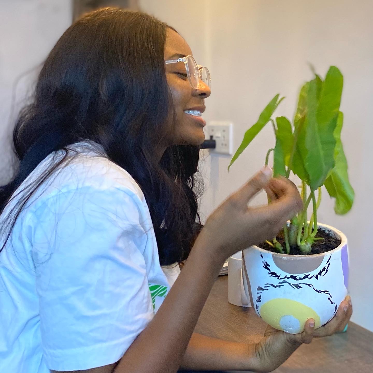 Indoor Plant Styling