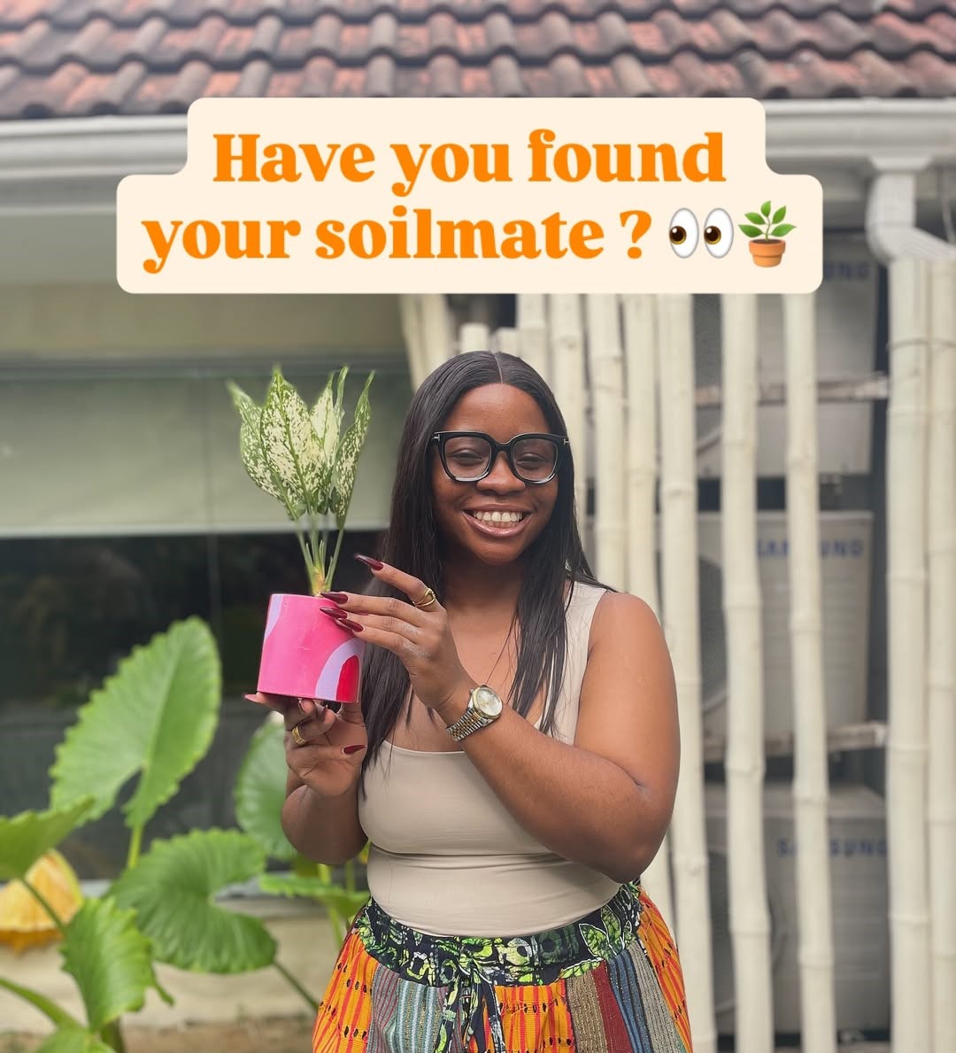 Urban garden in African city